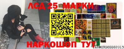 эйфоретик Новозыбков