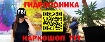 мяу мяу мука Новокубанск