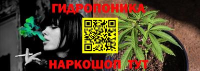 мяу мяу мука Новокубанск